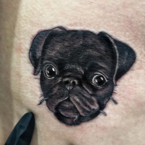 Tiny pearl the pug portrait for Jack. She&rsquo;s about 2-3 inches on the ribs #mothersruin #petport