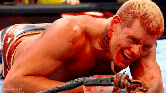 WWE Preferences 