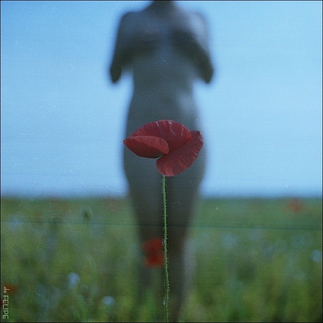 Quello che cerchi