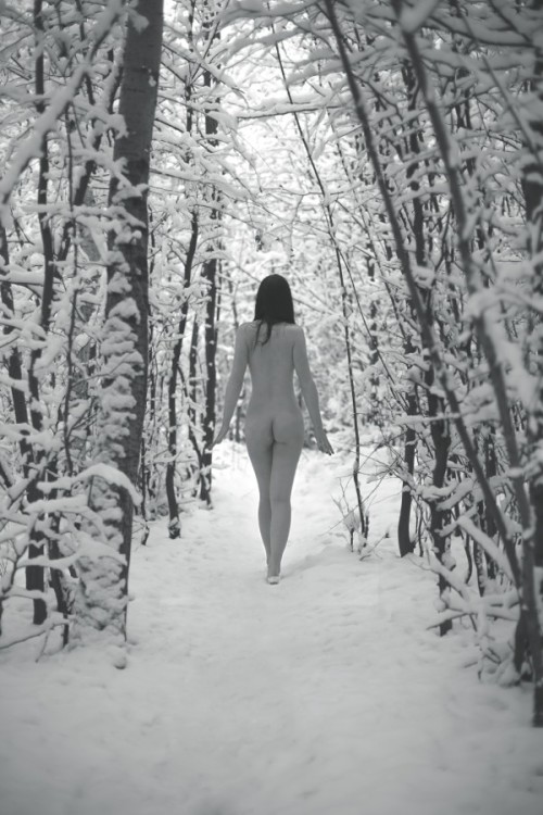 christinered: Fuck This!   I’m going to NARNIA!