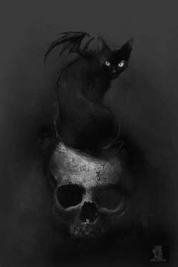 slobbering:  The Black Cat II by Nat Jones