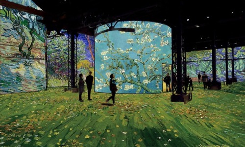 miss-m-calling:Van Gogh’s Starry Night, an immersive digital exhibition at L’Atelier des Lumières, P