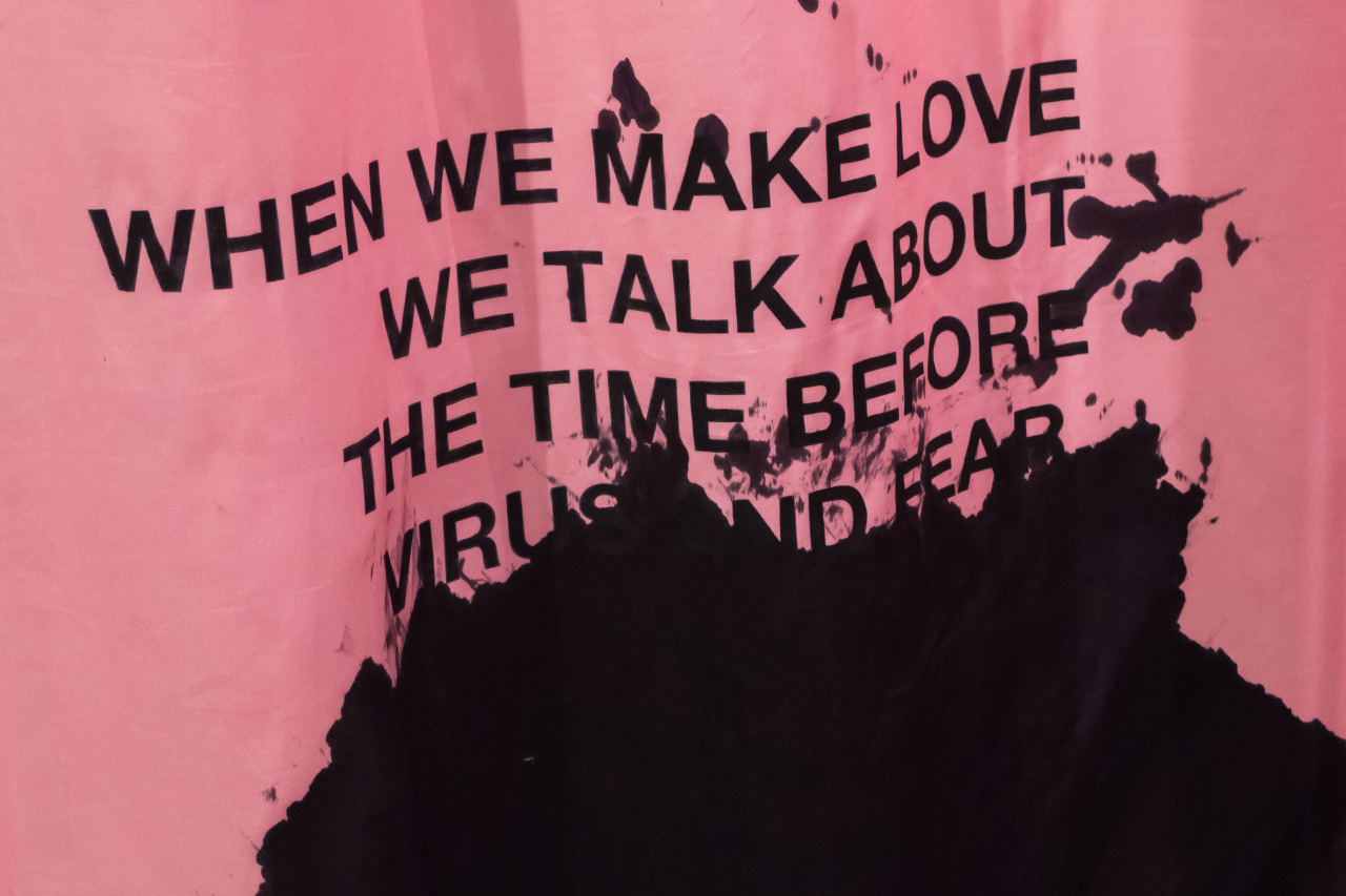 novr:    Lili Reynaud-Dewar  “When we make love we talk about the time beforevirus