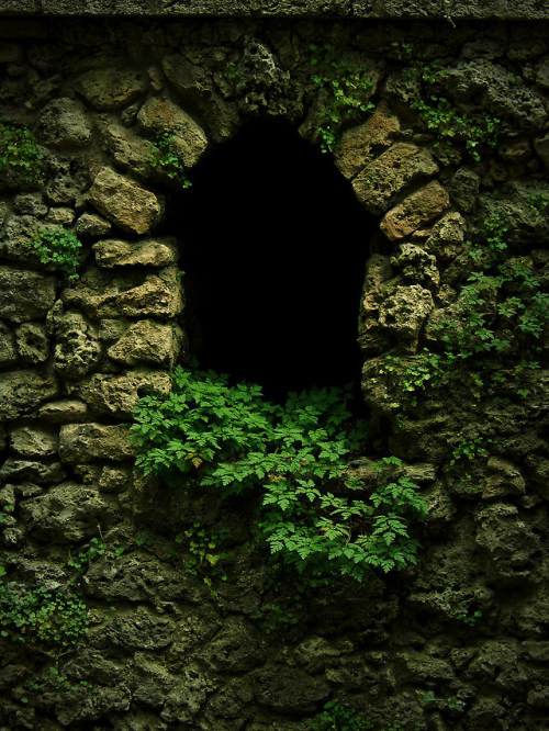 medieval-woman: The Window by Caledoniafan