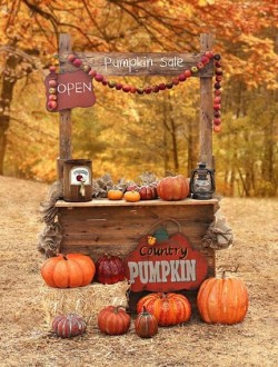 love-of-autumn:(via Pinterest) 
