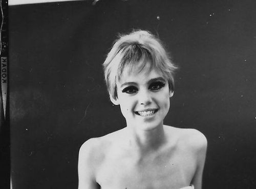 catwalkcats: Edie Sedgwick