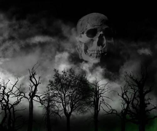 You should've seen the look on your skull.