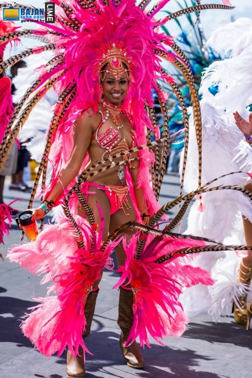 caribbeancivilisation:Trinidad Carnival, 2015