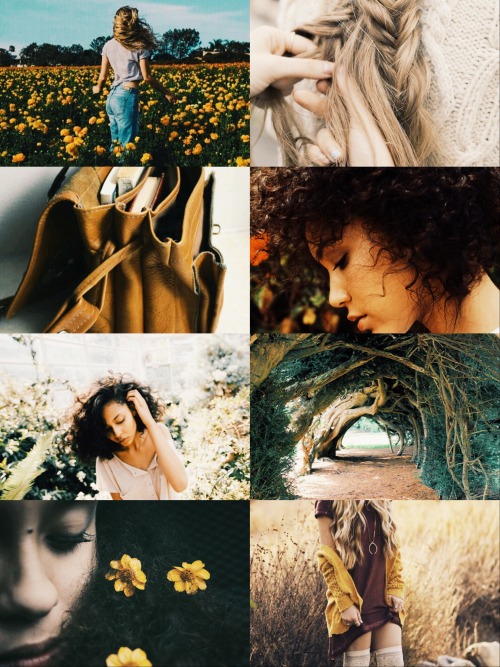 naricssamalfoy: HP AESTHETICS: pureblood elite: ↳hufflepuff more here x