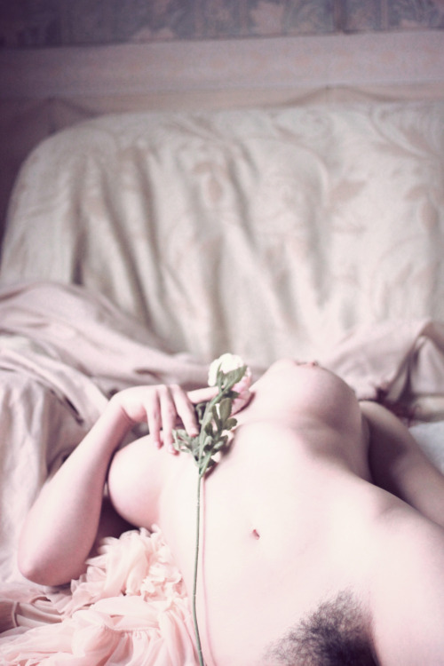 HIDDEN USTULATIONS