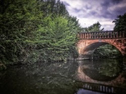 funkytofunk:Bridge over the River Can #parks #riverbank #trees #bridges #nature  (at Admirals Park)