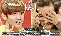 shimporn:  How can a spider have two legs, Changmin..? ಠ_ಠ 