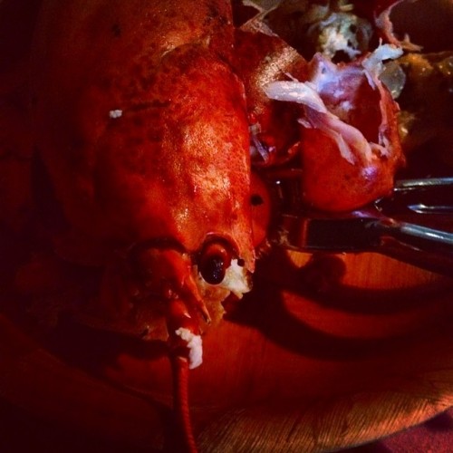 Lobster! #lobstercarcass #lobsterdinner #mommyandme #dinner #candlelight #dead #seafood #yummy #poin