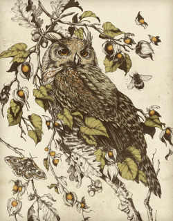 artchipel:  Tumblr Monday 98 - Tumblr Artist Teagan White | on Tumblr (USA) - Great Horned Owl / Honey &amp; Sorrow Teagan White is a freelance designer &amp; illustrator from Chicago, currently living and working in St Paul, Minnesota, where she recently