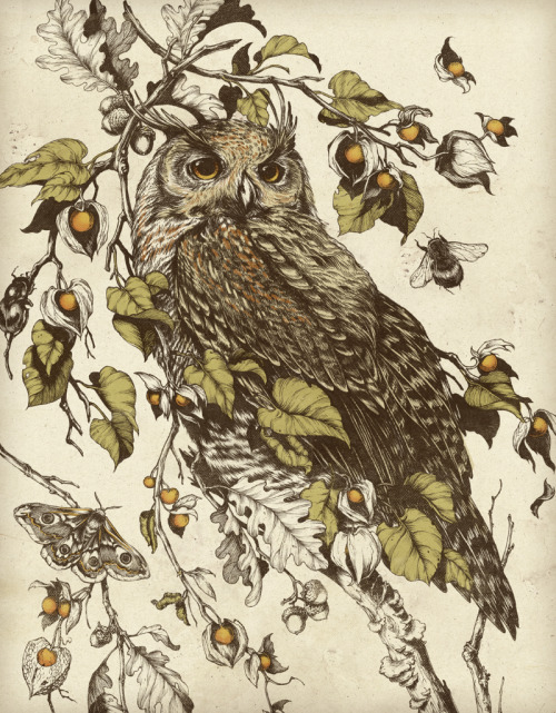 artchipel:  Tumblr Monday 98 - Tumblr Artist Teagan White | on Tumblr (USA) - Great Horned Owl / Hon