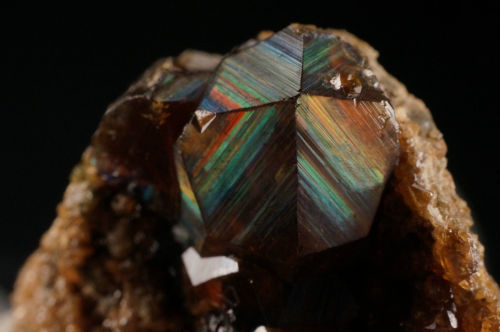 ifuckingloveminerals:Andradite GarnetSan Pedro Mine, New Placers District, Santa Fe Co., New Mexico,