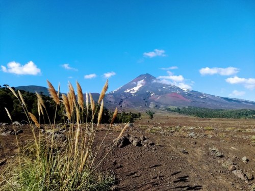 andylla:Volcan Llaima, Parque Nacional Conguillio, Región de la Araucanía, Chile.