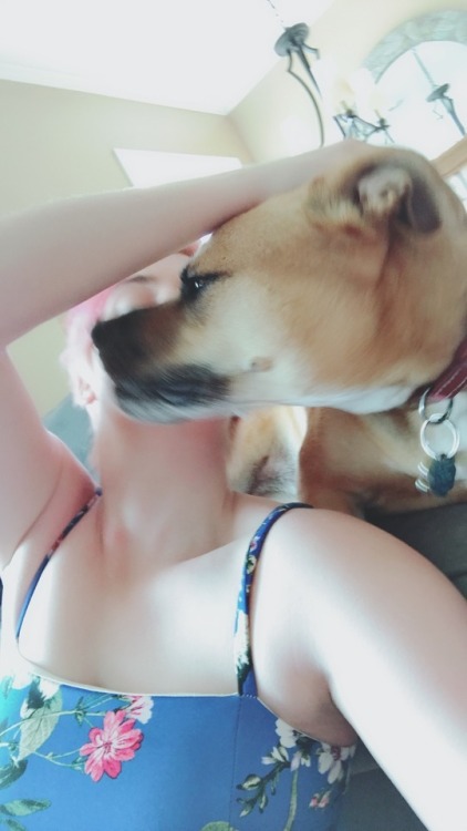 I saw Rosie today. It was a morning full of bitey kisses.  Her signature move is “lick, lick, CHOMP”