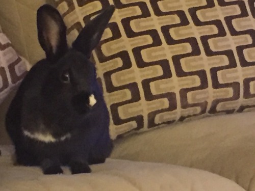 My baby Luna