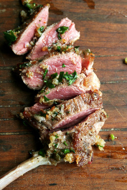 do-not-touch-my-food:  Pan-Seared Lamb Chops with Toasted Bread Crumb Salsa
