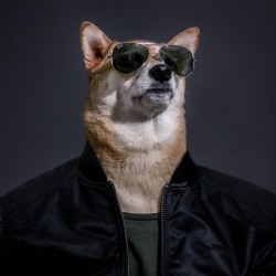 mensweardog:  The Aviator ✨ 