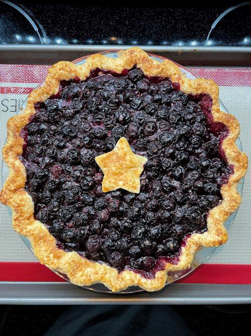 foodmyheart: Homemade classic blueberry pie Source: reddit.com/r/foodporn foodmyheart