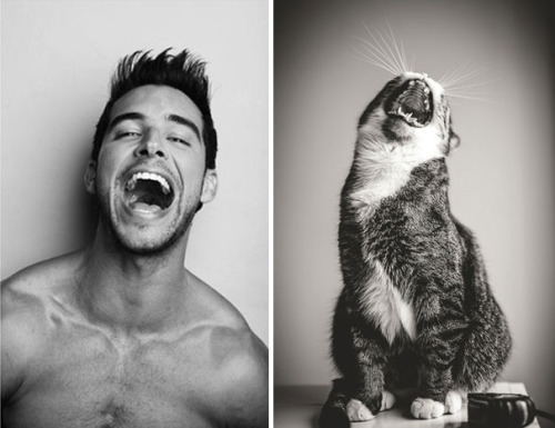 coffee-and-yoga: babyfemmeshark: thusspakekate: nydotr: Hot Guys and Cats Striking Similar Poses Yes
