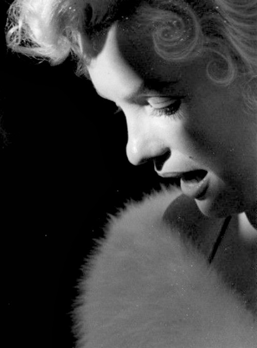 alwaysmarilynmonroe:Marilyn at the premiere of The Rose Tattoo in December 1955.