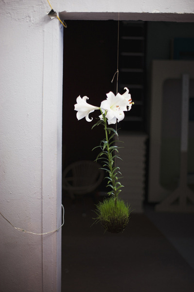 divaneee:  STRING GARDENS