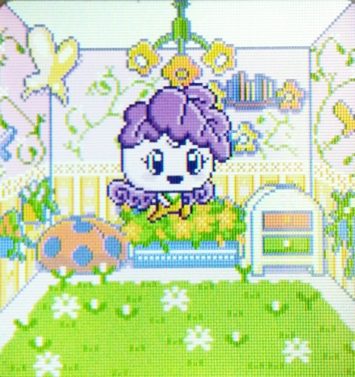 Flower fairy boy!