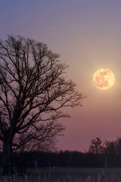 ilaurens:  Big Moon Rising - By: aaron shirk 