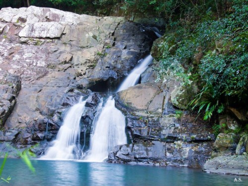 tropiqua-l:  harmohny:  oceaniatropics:  waterfalls abound at O’Reilly’s Rainforest, SE Queensland, 