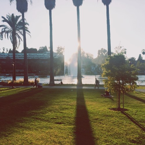 Missing the wilderness, but this isn’t too bad to come back to. #echoparklake #losangeles #picnic