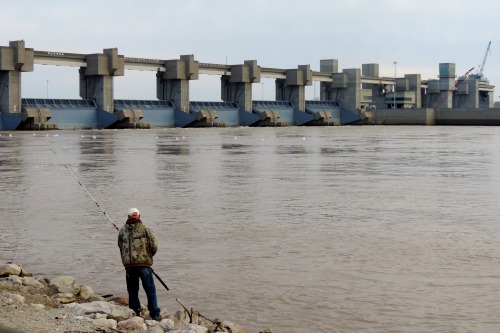 Fly Fisherman Below the Melvin Price Locks and Dam, Mississippi River From the Missouri Side, 2014.A