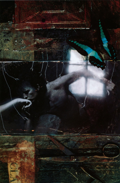 liquidnight:  Dave McKean Cover art for issue #11 of The Sandman by Neil Gaiman From The Sandman Dus