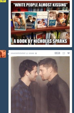 bloodydamnright:  well….this just happend on my dash…  i cant…. this is brilliant :D 