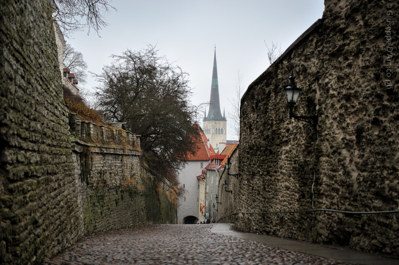allthingseurope:   	Tallinn, Estonia (by Giuseppe D'Amico)