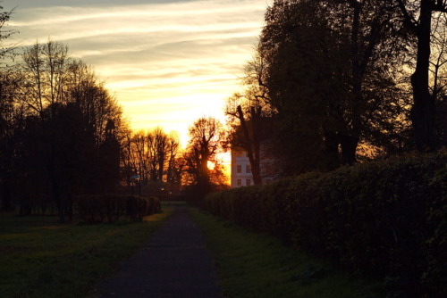 Afterglow. Nachglühen.Sunset in the park of the baroque castle Oppurg, October 2015.