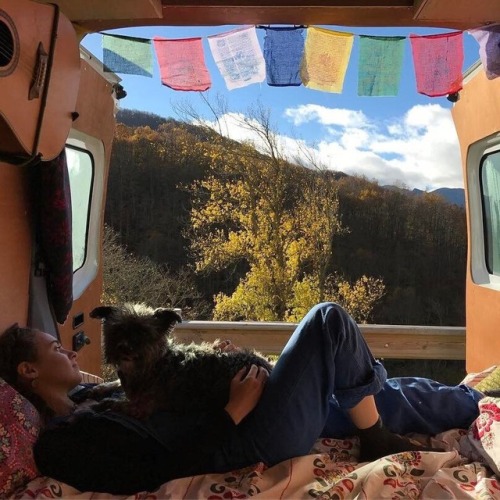 m-lemann:  my dream looks exactly like that