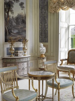 a-l-ancien-regime:  The Gabrielli room in  Lyons Demesne  estate  Co. Kildare Ireland 