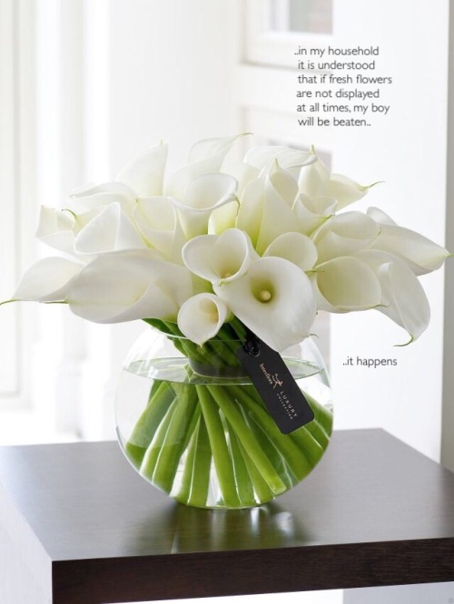 captionedgoddess: ..little rules that make me happy