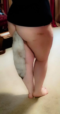 painandadventure:  My new tail came in. Looks