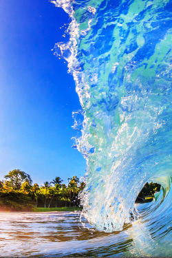 about-epic:Waves | AE