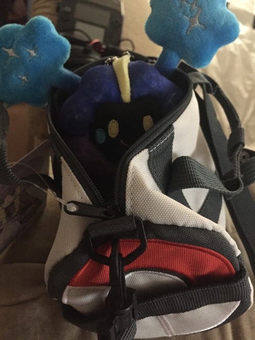 Nebby is in the bag!