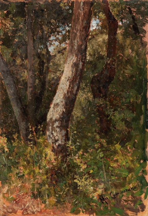 Michele Cammarano  (1835 - 1920)Bosco