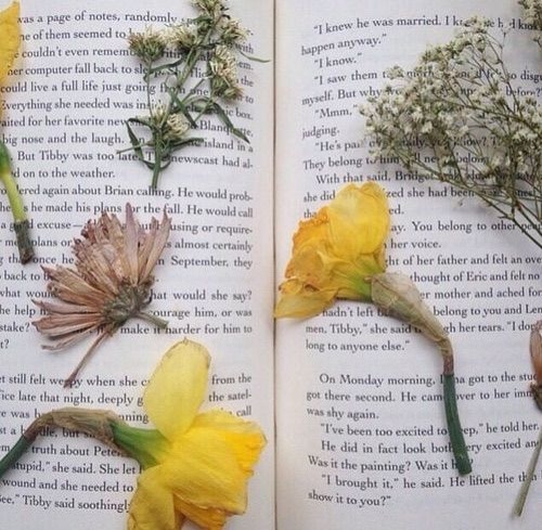 canary fairy aesthetic
