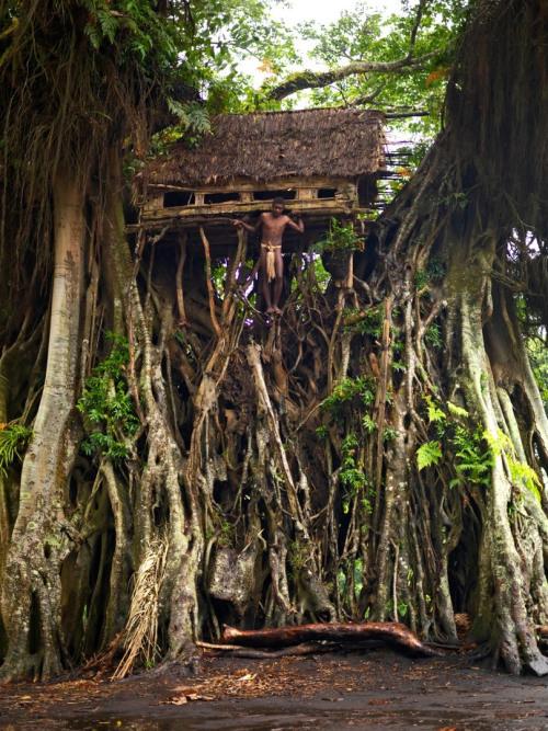 nubbsgalore:  vanuatu, an archipelago nation made up of 83 islands in the south west pacific, was populated some 2500 years ago by melanesian navigators.  the yakel, seen in their kastom (village) on the vanuatu island of tanna, refuse any modern methods