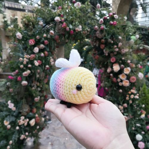 yarnitbunny: My humble Pastel Rainbow Bee… got to bee my model for a day! During my visit to 