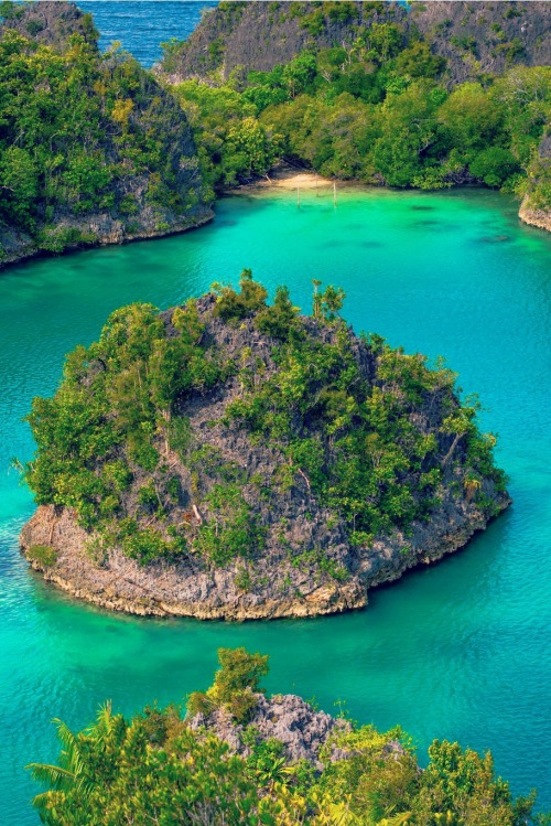 disminucion:
“Pianemo Islands (Raja Ampat) 13, Roy Singh
”