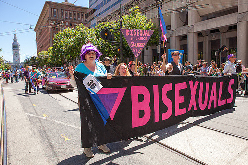 gaywrites:Happy Bi Visibility Day/Celebrate Bisexuality Day! To my fellow bis: If you’ve ever been t